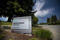 The Single Life Suits Hewlett Packard Enterprise